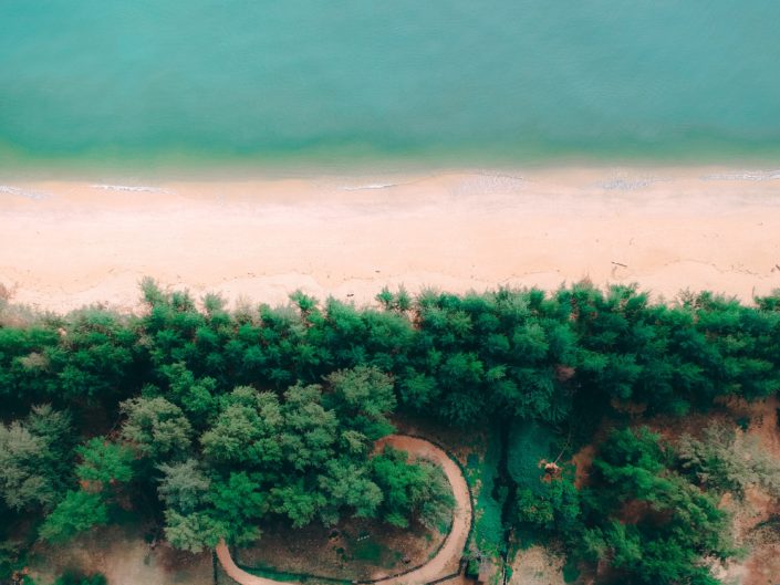 Aerial Photography 11 aerial-shot-beach-daylight-drone-imagery